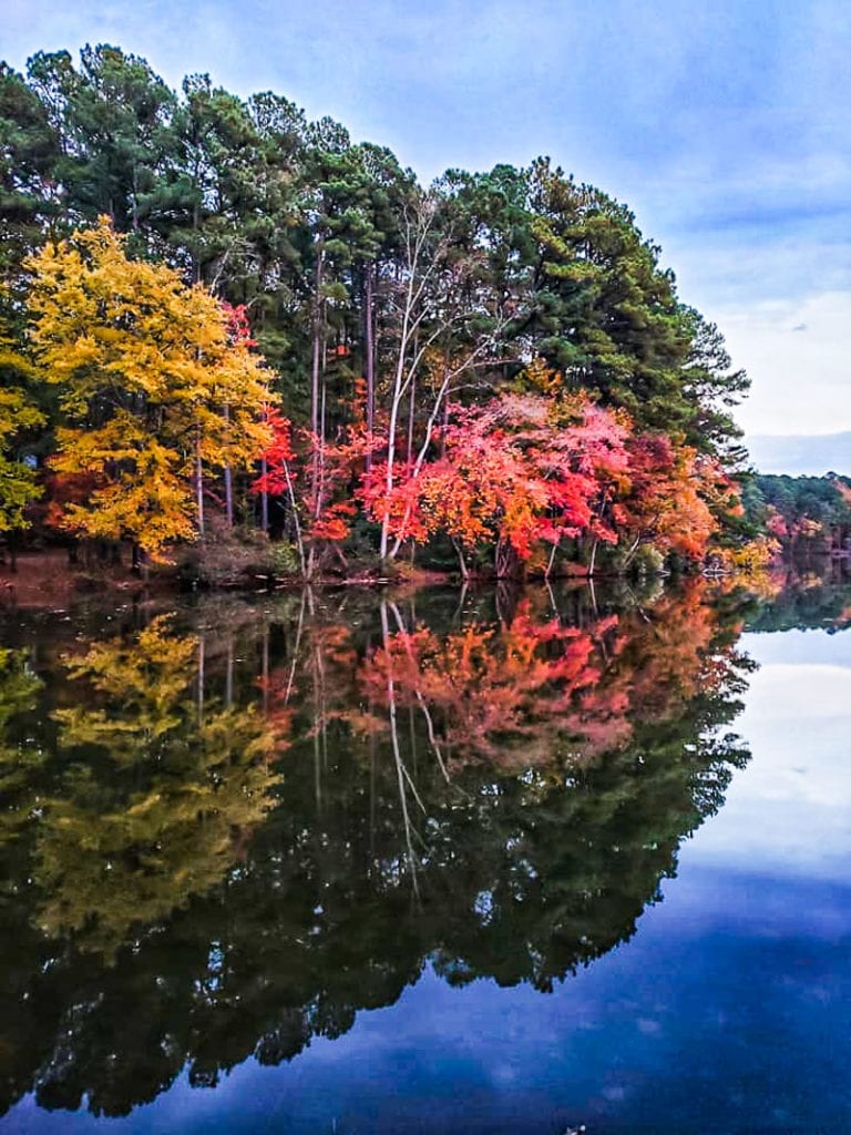 Lake Johnson Park, Raleigh, NC
