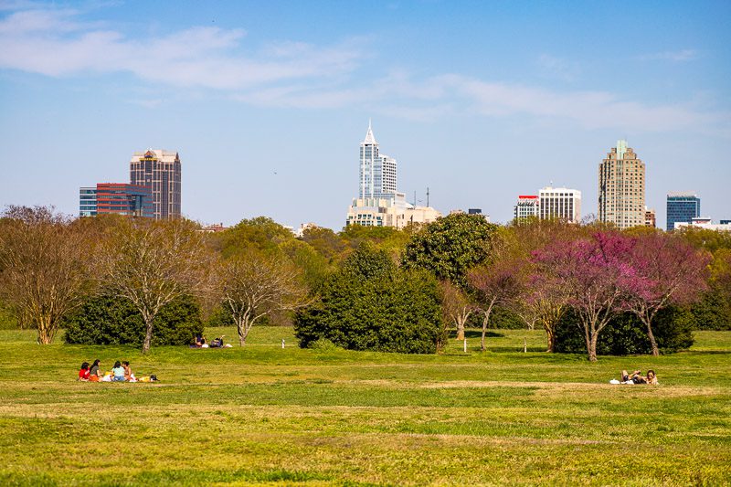 A large green field with a city in the background