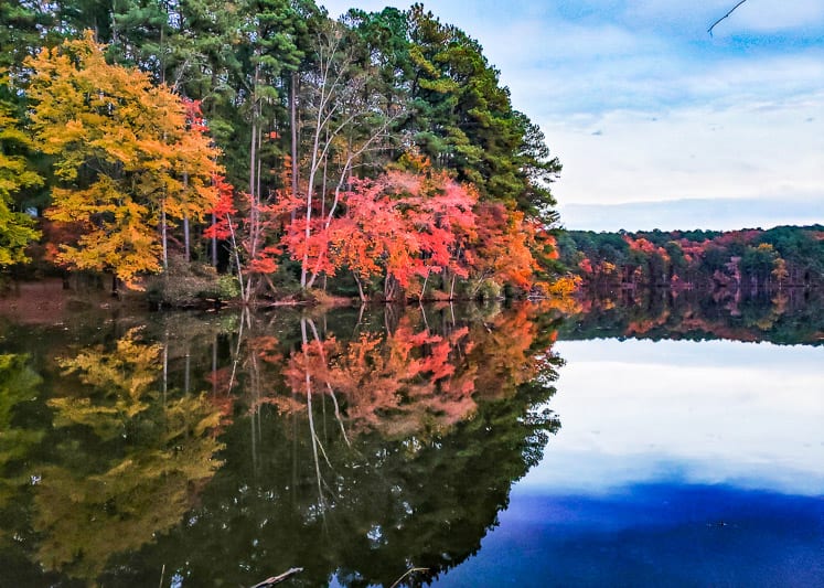 Reflections at Lake Johnson, Raleigh