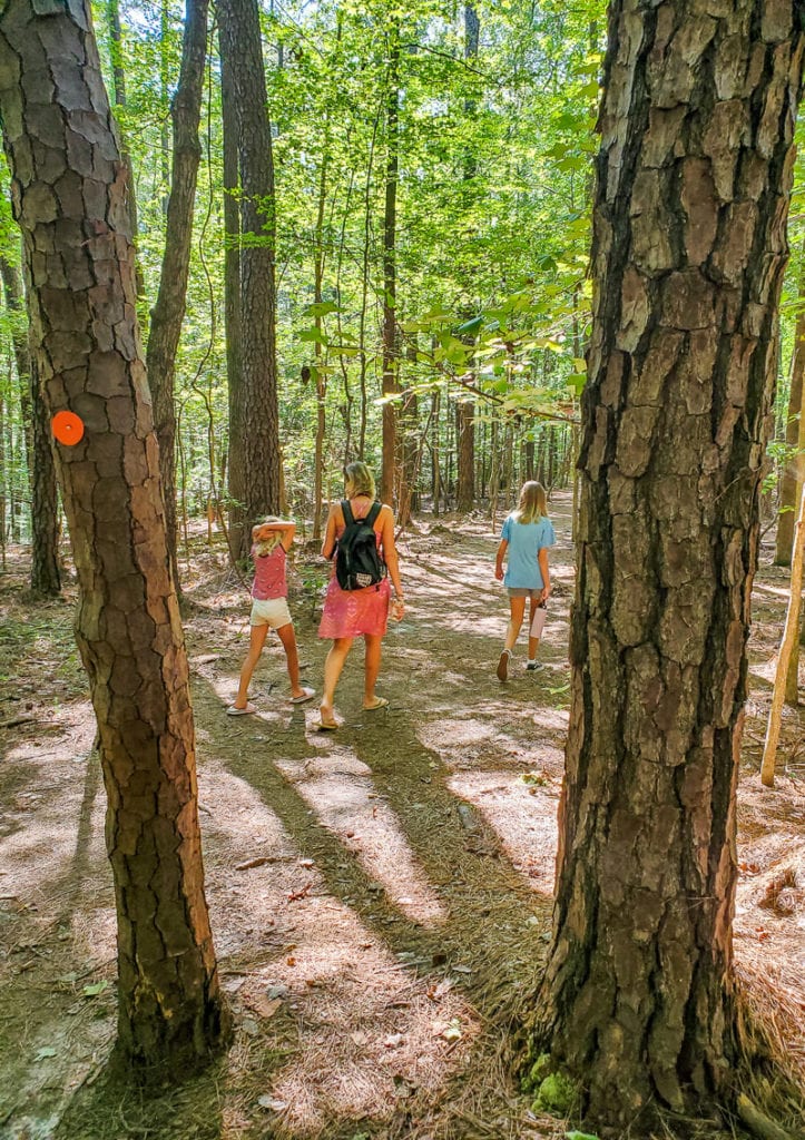 people walking on a forest trail