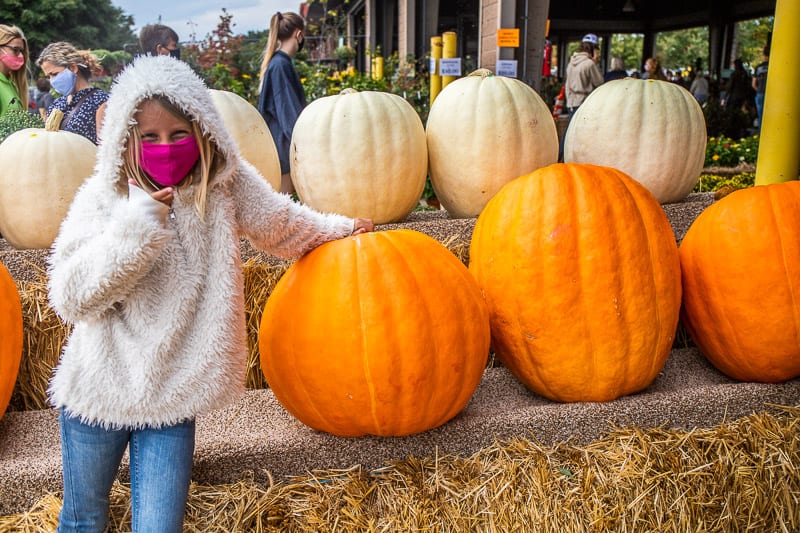 girl standing in front of pumpkins