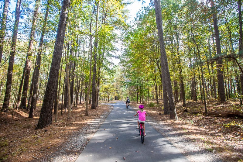 A little girl riding on a trail in a forest