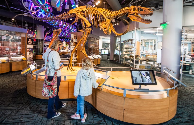 people looking at a museum display of a dinosaur skeleton