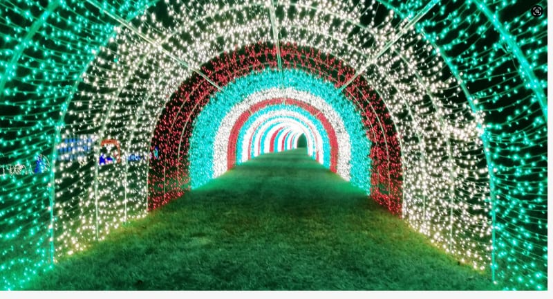 Tunnel of Lights at Fieldstream Farm