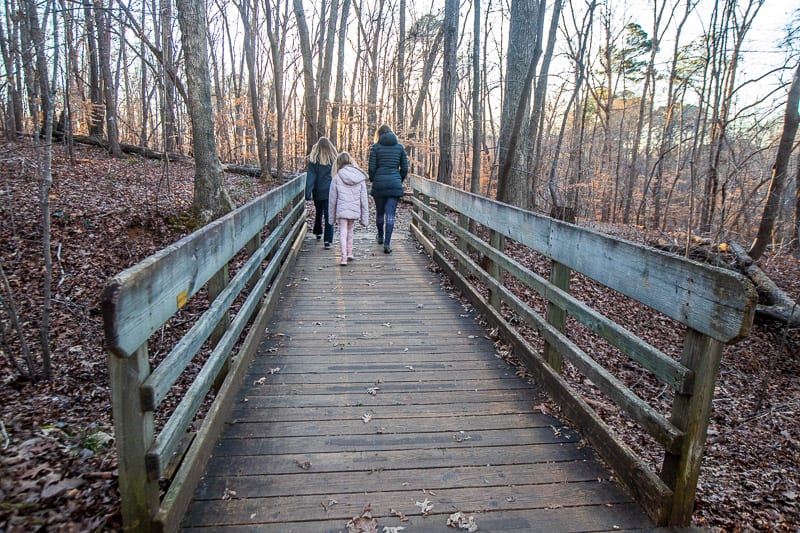 people walking on a board walk through a forest