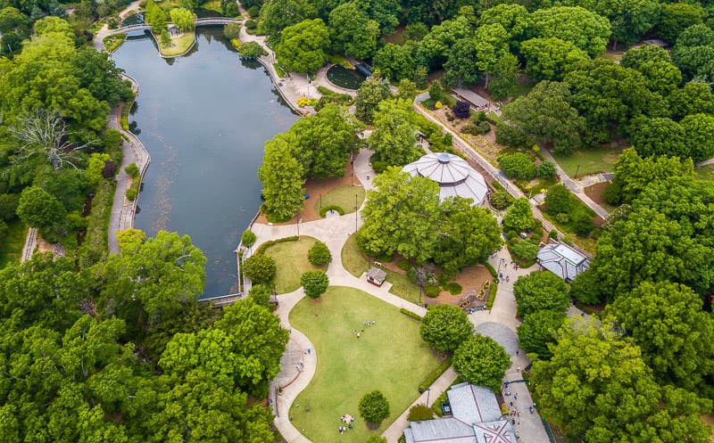 aerial view of Pullen Park trees and lake