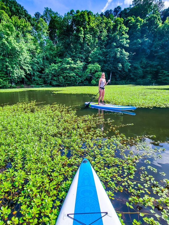 SECRET PARADISE: DISCOVERING THE BEAUTY OF LAKE RALEIGH STORY | This Is ...