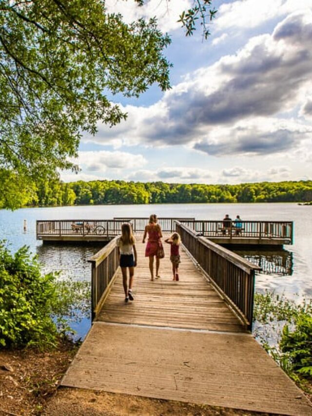 LAKE RALEIGH: A HIDDEN GEM Story | This Is Raleigh