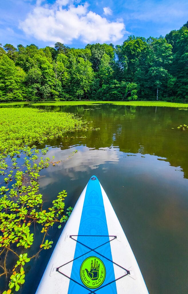 a paddle board on a lake