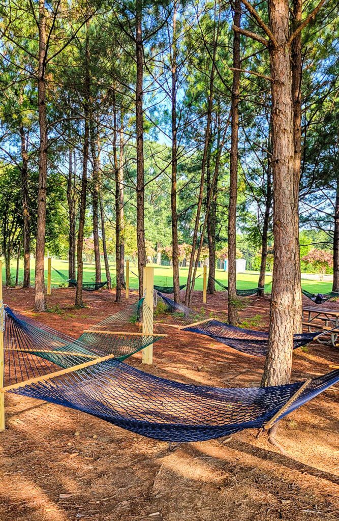 A close up of a wooded area with hammocks between the trees Dorothea Dix  Park Raleigh