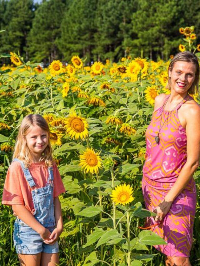 Girls standing in a sunflower field