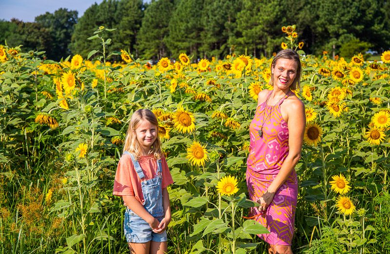 sunflower fields raleigh