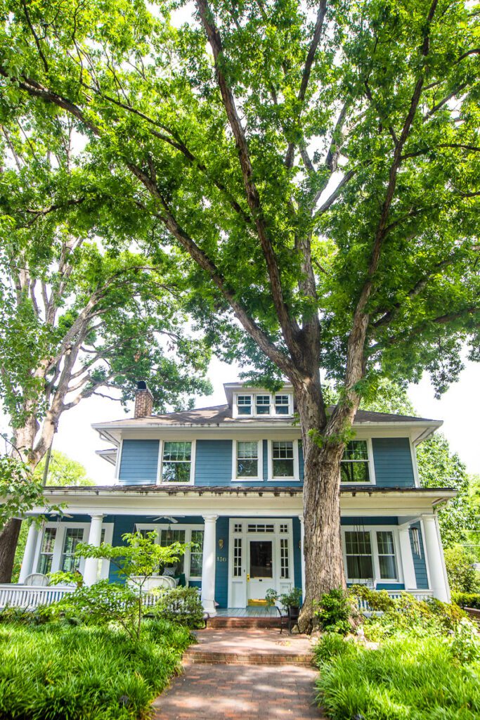 blue historic home with big tree out the front