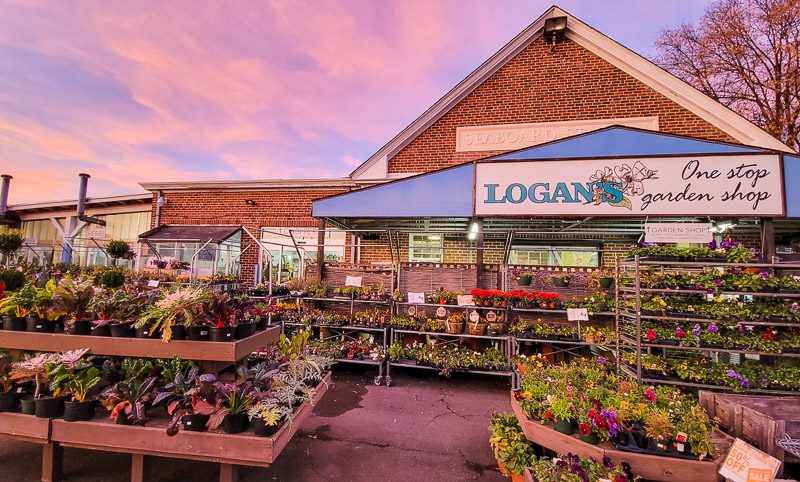 Logans One Stop Garden Shop, Raleigh