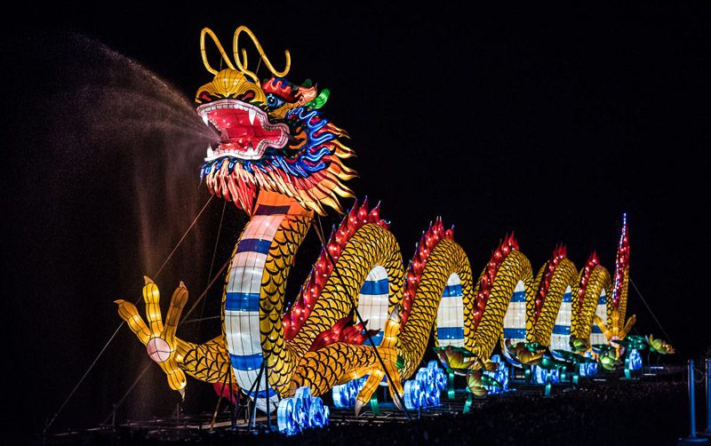 lit up dragon at the Chinese Lantern Festival