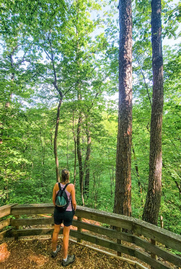 woman looking at view in Hemlock Bluffs Nature Preserve, Cary