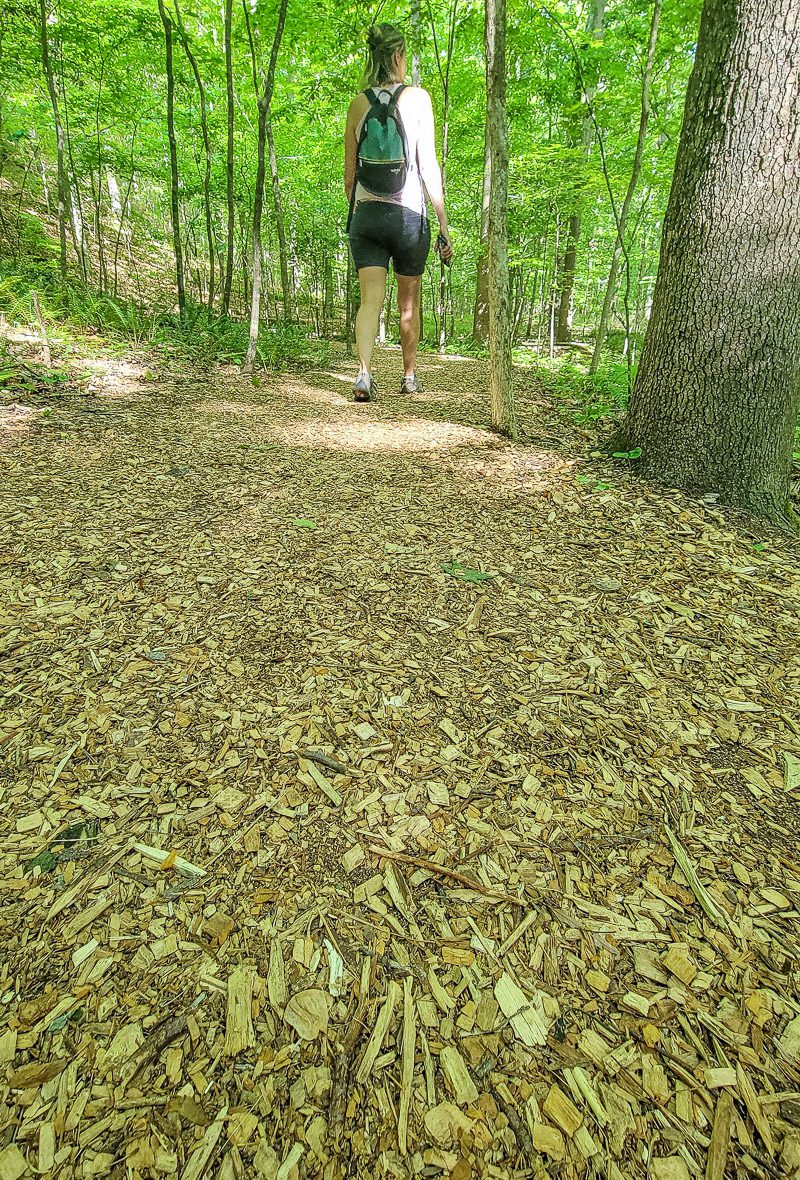 A person walking in a forest