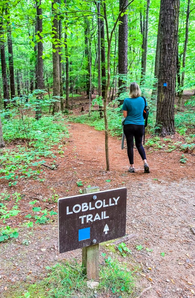 loblolly trail sign on a dirt path in a forest 