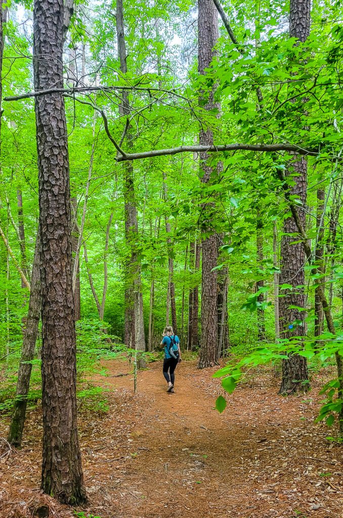 woman walking in the middle of a forest