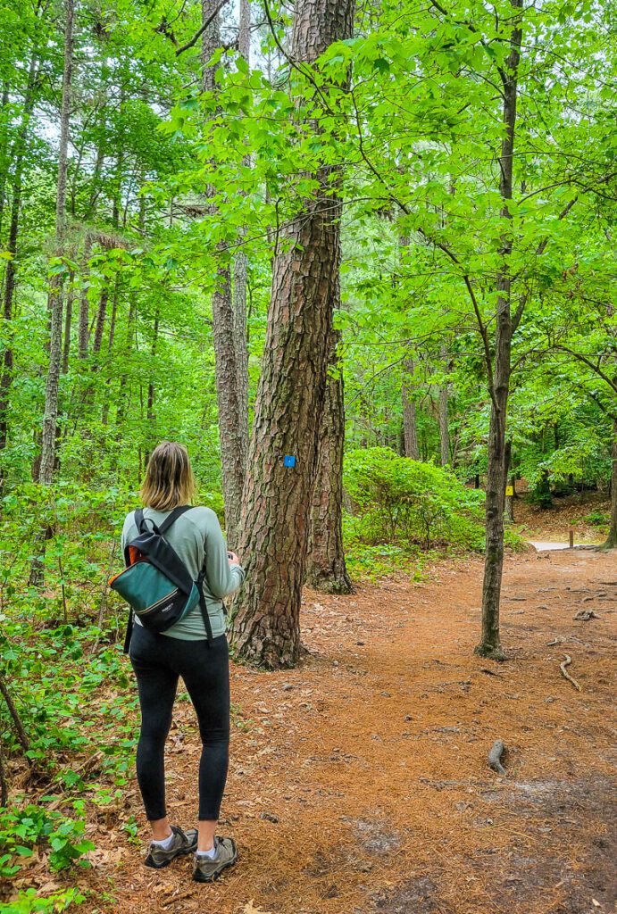 A person standing next to a tree in a forest, with Loblolly Trail