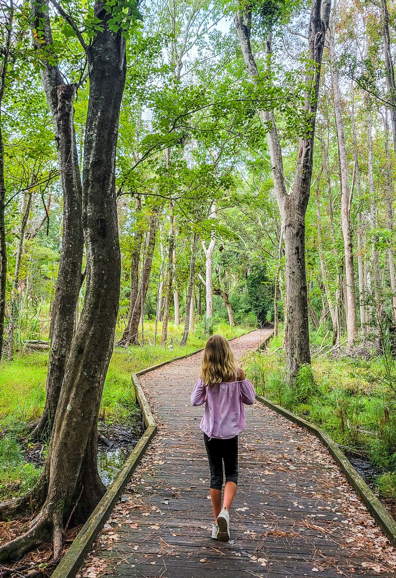 A child walking on a wooden boardwalk next to a tree at Carolina Beach state park