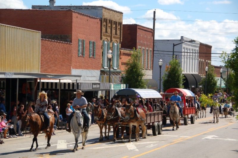 a parade of mules and carriages down main st benson