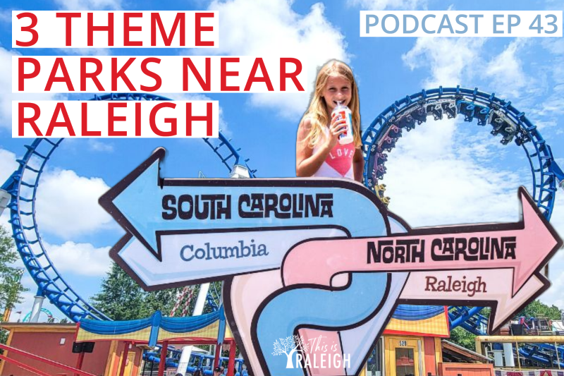 image with roller coaster promoting theme parks near raleigh nc