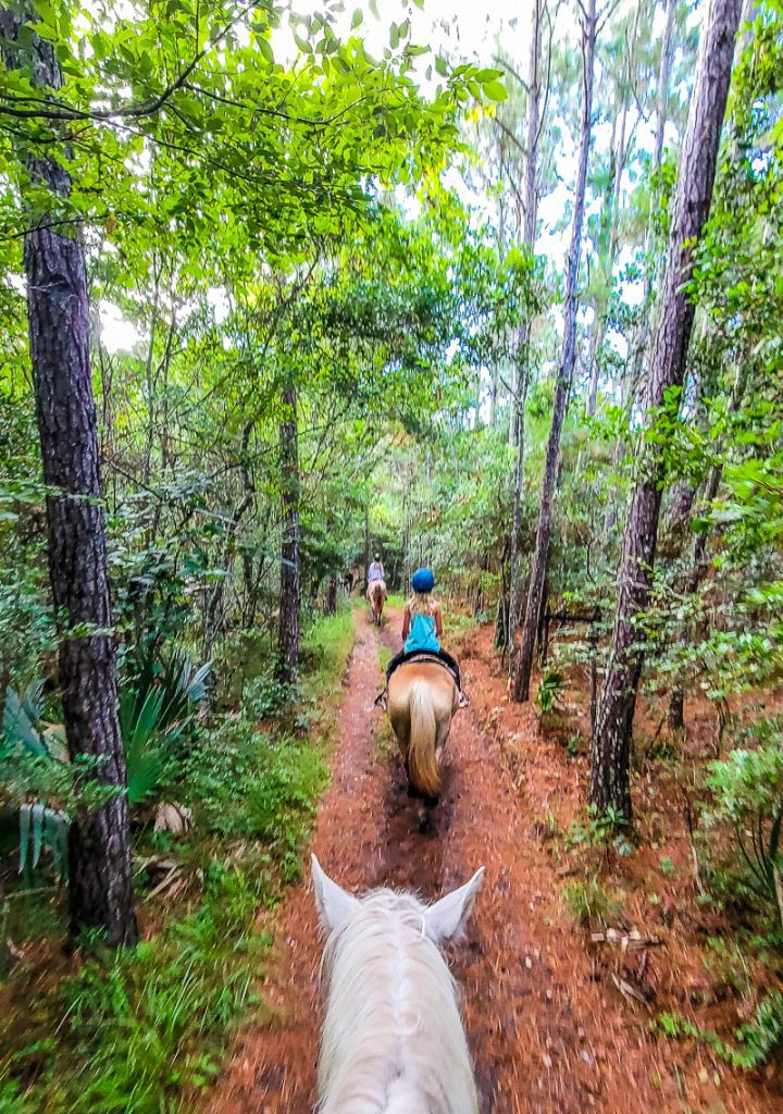 Girld riding a horse through the forest in the Outer Banks