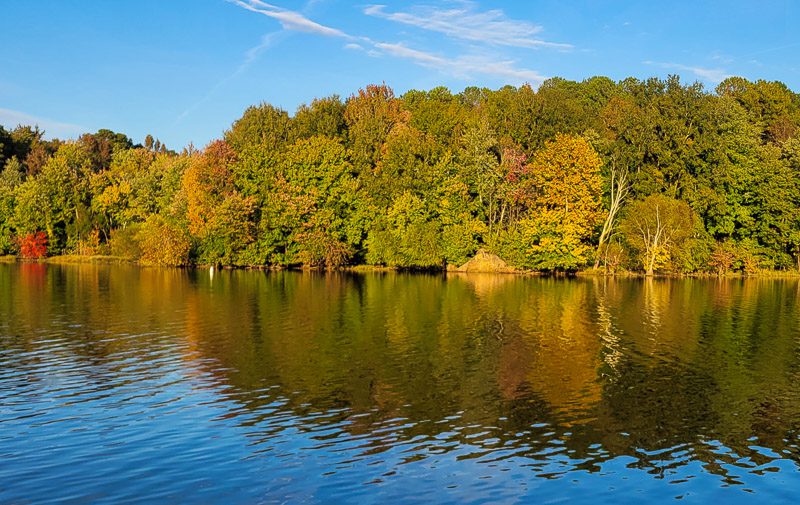 fall foliage on the edge of bond lake