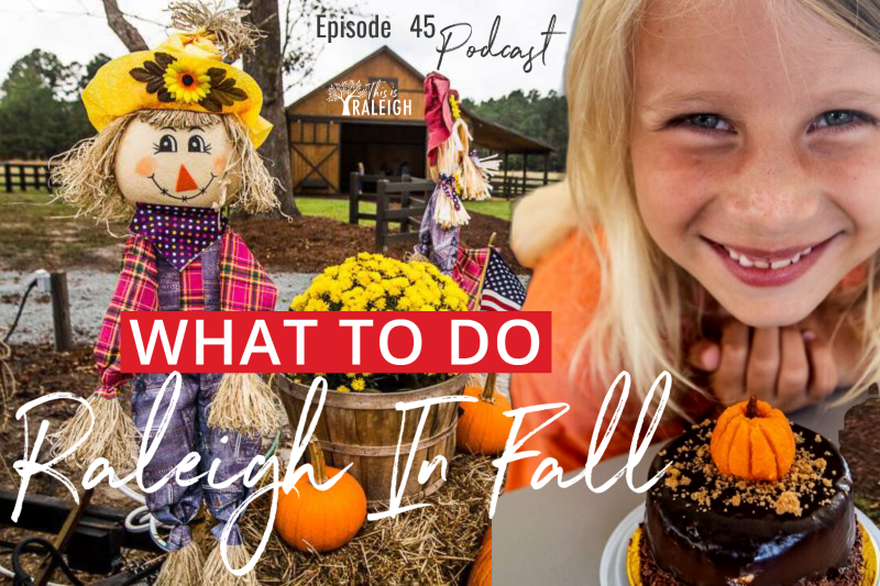 girl with pumpkin cheesecake and fall scarecrow background
