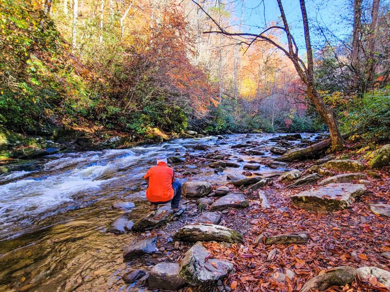 Man bending down to take a photo of a creek in the Smoky Mountains