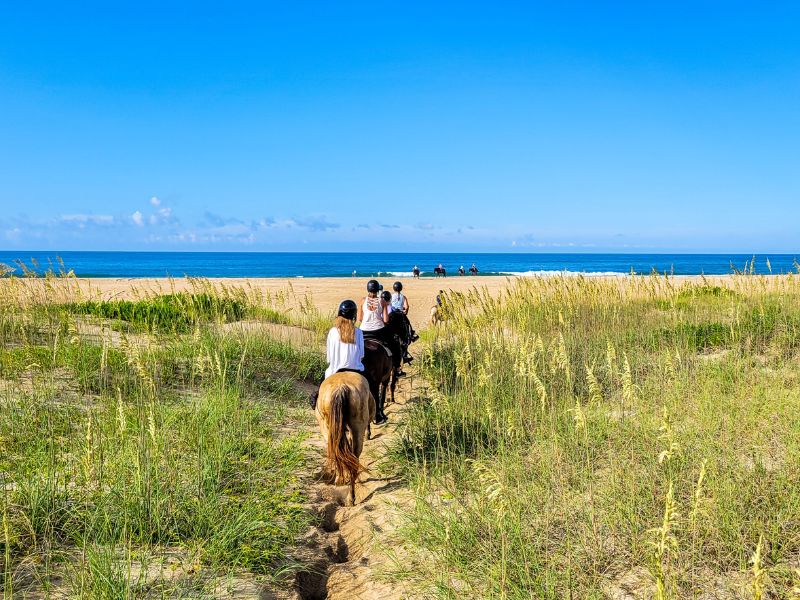 Family of four riding horses onto a beach in the Outer Banks