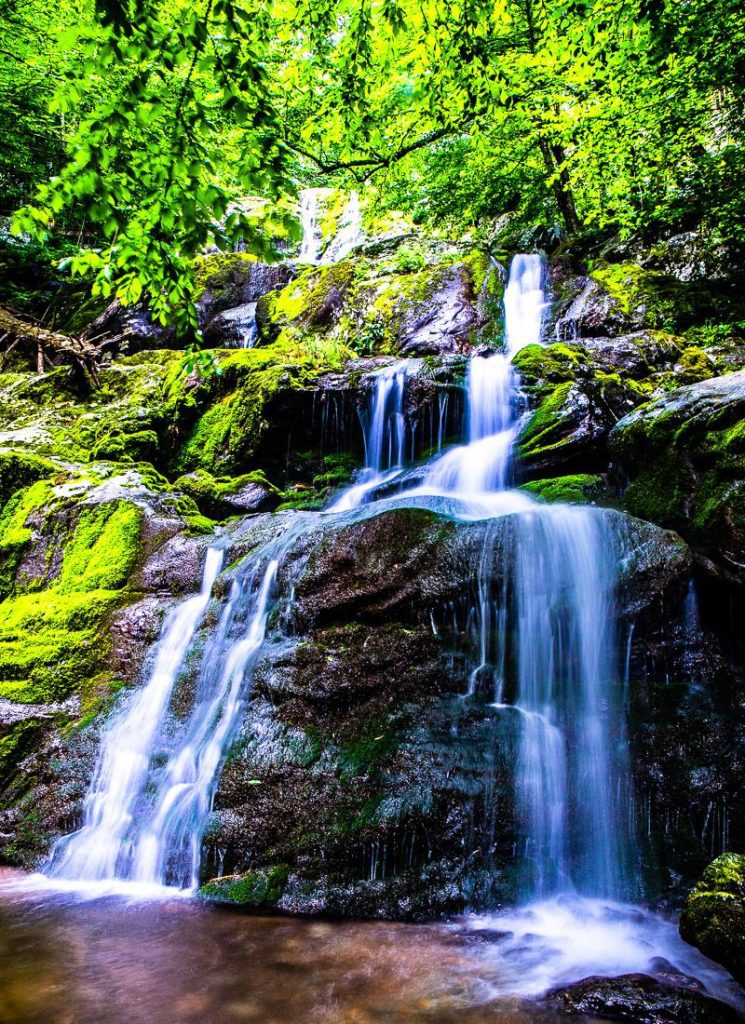 Waterfall in Shenandoah National Park