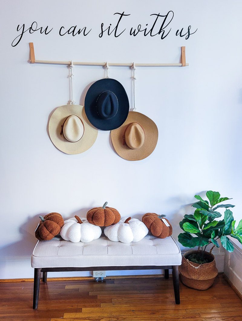 A chair, plant and hats on display