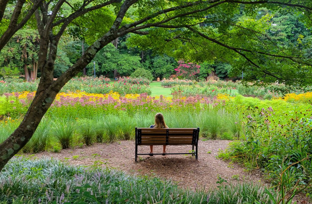 Girl sitting on a bench seat in a rose garden