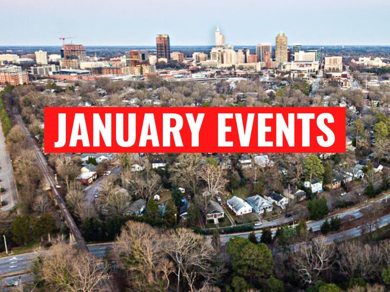 Aerial view of trees and city skyline in Raleigh, North Carolina