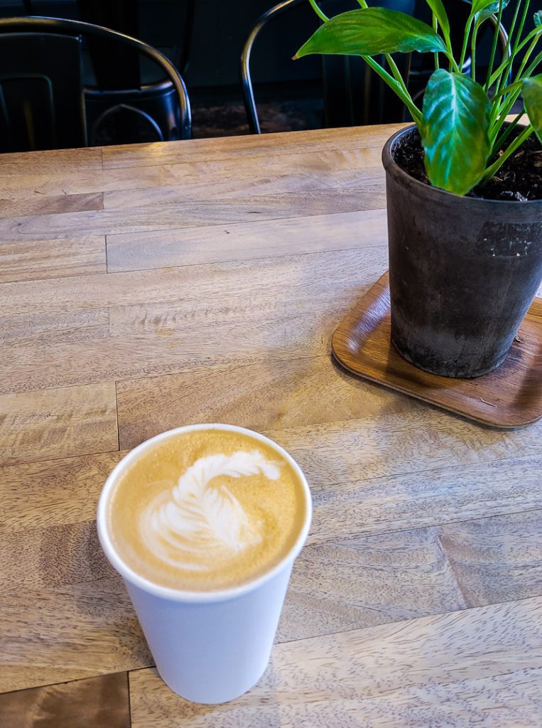 Coffee in a white paper cup on a table with pot plant