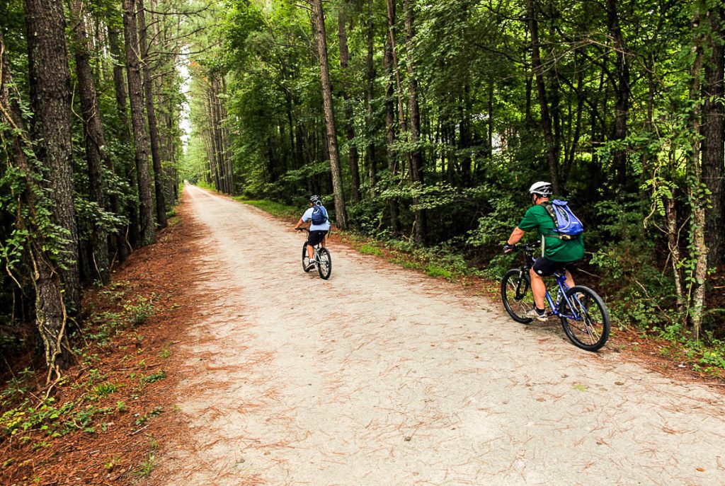 Two bike riders on a forest trail