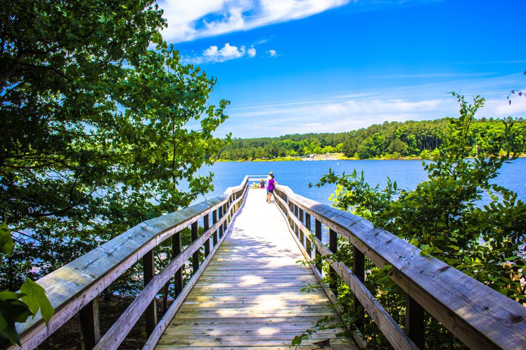 Boardwalk leading out to a lake