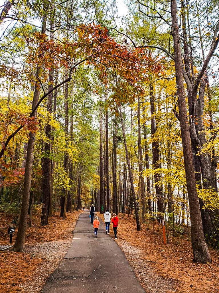 People walking a nature trail in the Fall