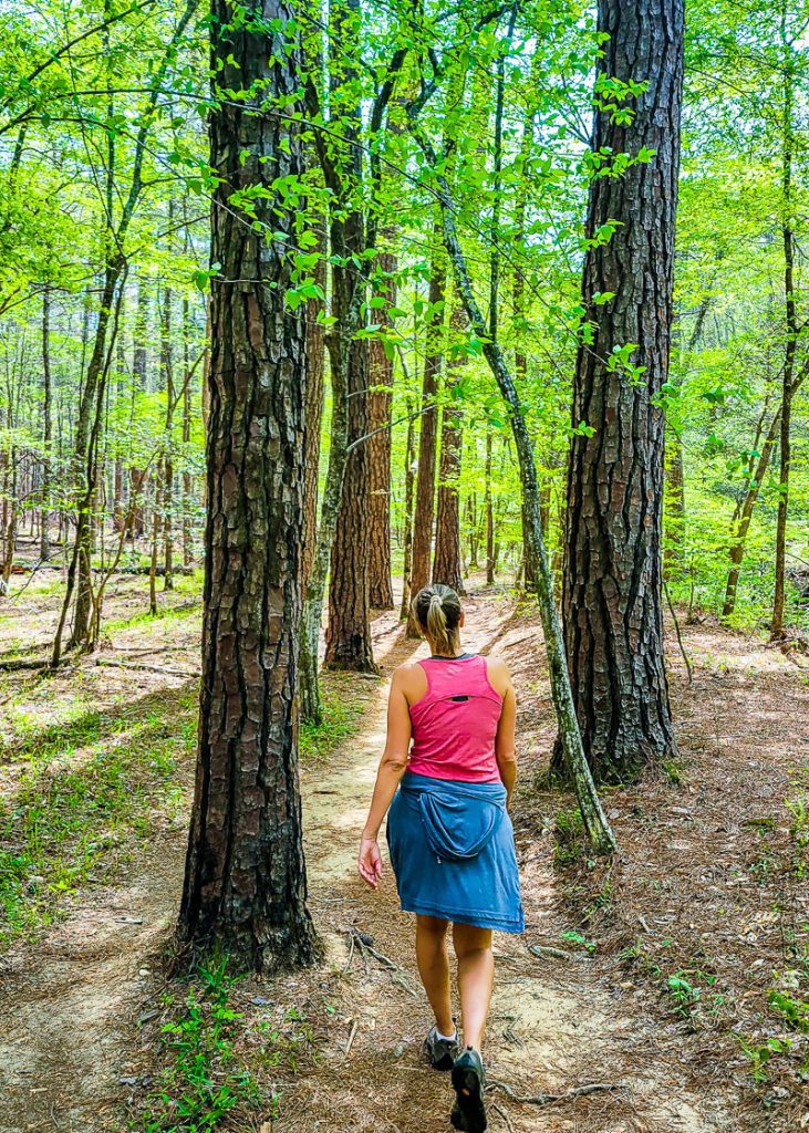 Lady walking a forest trail between trees
