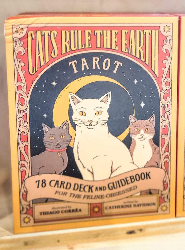 deck of cat tarot cards