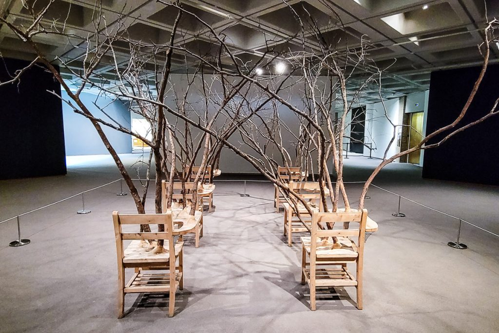 Chairs and trees lined up in a room as artwork