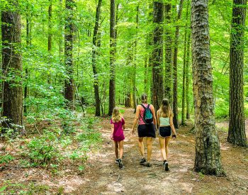 Mom and two daughters walking a trail in the woods