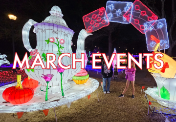 LOGO FOR MARCH EVENTS
