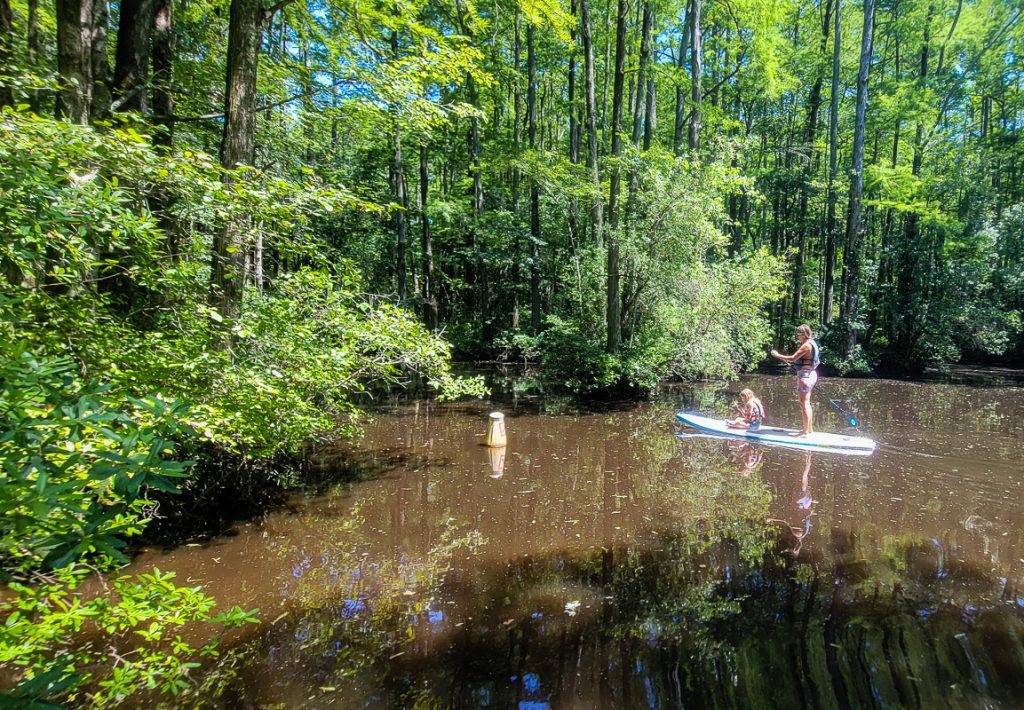 Mother and daughter on stand up paddle board in swamp waters
