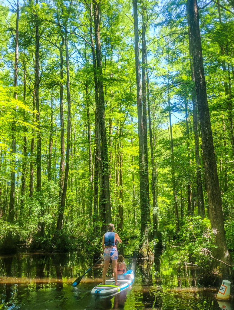 Mother and daughter on stand up paddle board in swamp waters