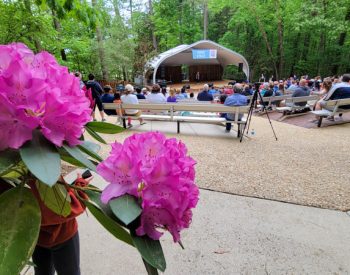 pink flowers in foreground with stage in the forest in the background