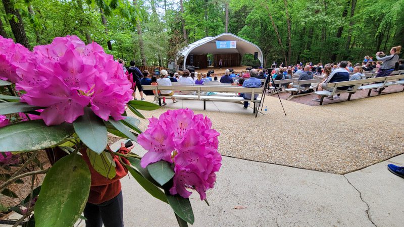 pink flowers in foreground with stage in the forest in the background