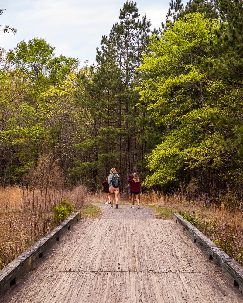 Mom and two daughters walking a forest trail
